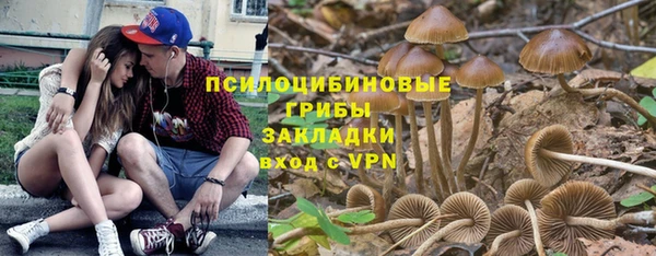 ПСИЛОЦИБИНОВЫЕ ГРИБЫ Белоозёрский